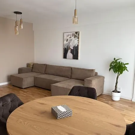 Modern 1bdr Baneasa 布加勒斯特